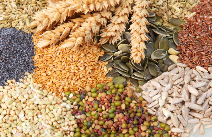 colchones muelles ensacados