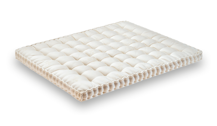 Topper Azaleh - Auriga