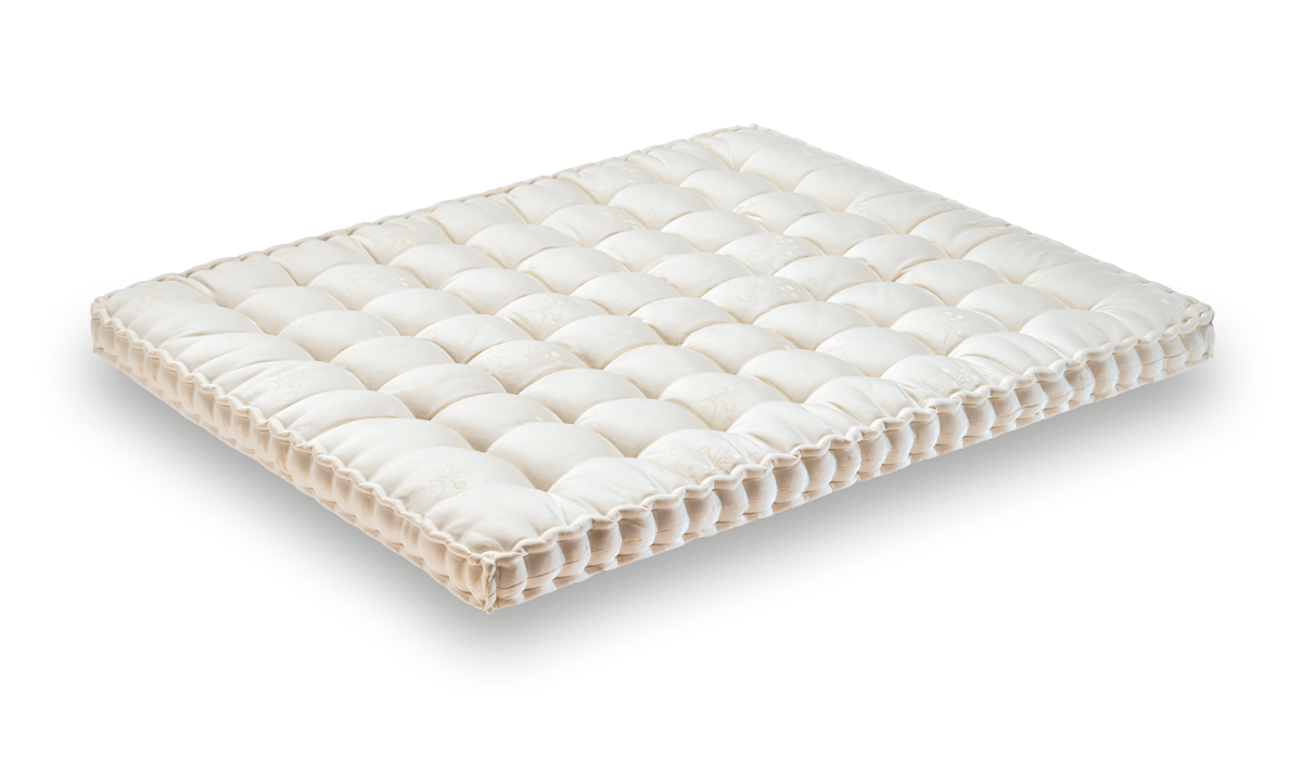 Topper Azaleh - Auriga